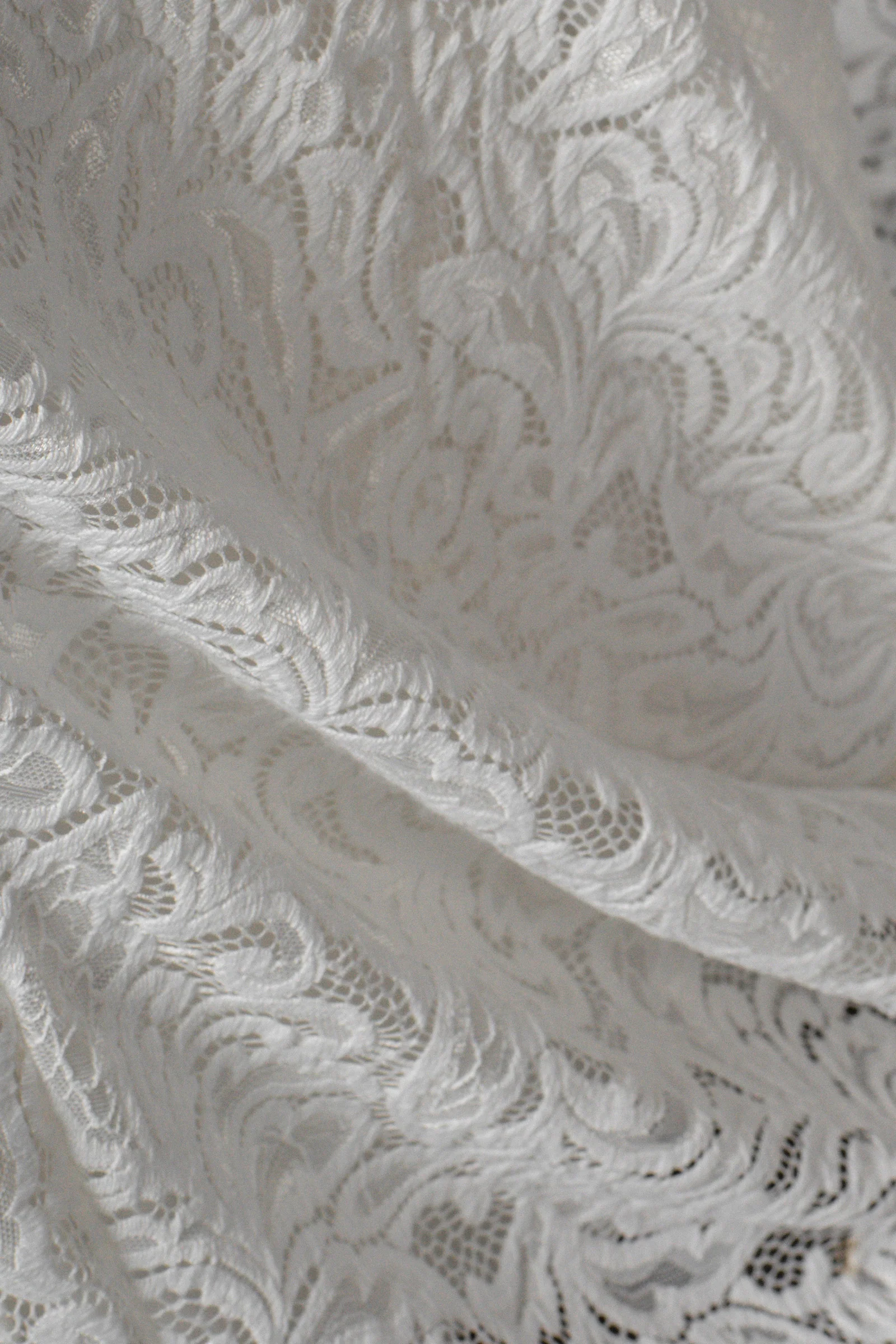 Olive - Image 14